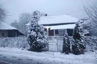 a house covered in snow with two christmas trees at Apartmani Lina in Ribarska Banja
