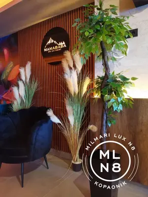 a black chair and some plants in a room at Milmari Lux N8 in Kopaonik