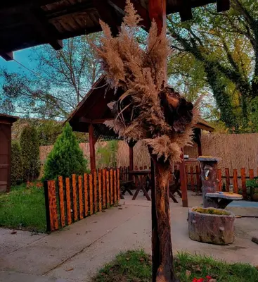 a tree that is standing in a yard at Radetov konak in Ðunis