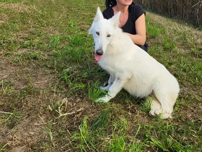a woman sitting next to a white dog in the grass at Radetov konak in Ðunis