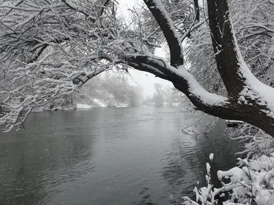 a river with snow on the branches of a tree at Radetov konak in Ðunis