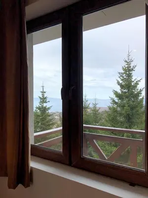 a window with a view of a tree at Vila Planinsko Blago Luxury Apartmans in Kopaonik