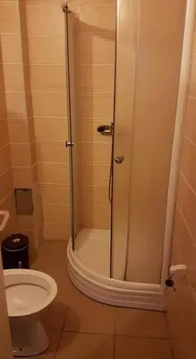 a bathroom with a shower and a toilet at Mladenović smeštaj in Soko Banja