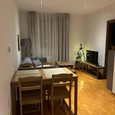 BRZECE SKI GONDOLA & FREE PARKING apartment