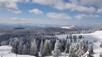 a view of a snow covered mountain with trees at WELLKOP Apartman Kopaonik in Kopaonik