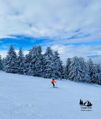 a person on skis in the snow next to trees at Duplex Vidik B30 - 85m2 in Kopaonik