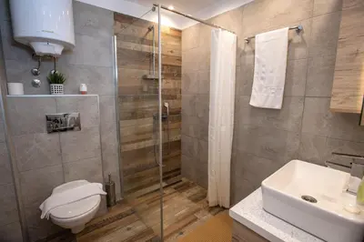 a bathroom with a shower and a toilet and a sink at DeltaLux apartmani Milmari Kopaonik in Kopaonik
