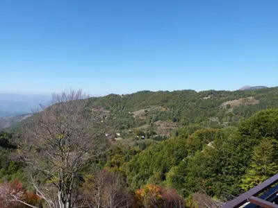 a view of a mountain with trees and houses at L&N Apartmani Kopaonik-Milmari Resort in Kopaonik