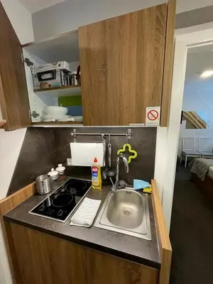 a small kitchen with a sink and a stove at Planinski vrhovi Jelač in Kopaonik