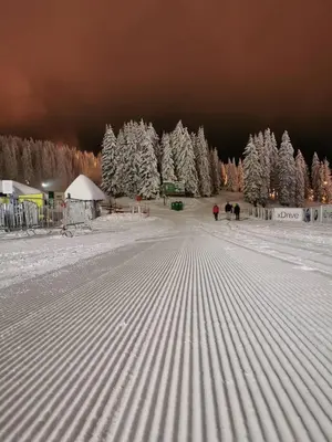 two people walking on a snow covered road with snow covered trees at Planinski vrhovi Jelač in Kopaonik