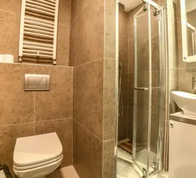 a bathroom with a shower and a toilet and a sink at Planinski vrhovi Jelač in Kopaonik