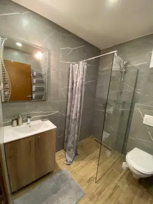 a bathroom with a toilet and a sink and a shower at Apartman Milosavljevic-President Kop in Kopaonik