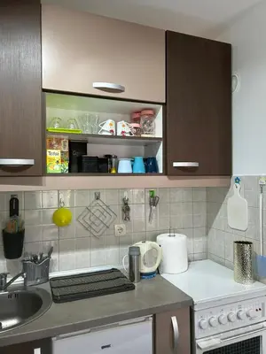 a kitchen with a sink and a counter top at Vila Vedrana Apartman Nedeljkovic in Brzeće