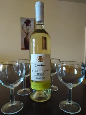 a bottle of wine sitting on a table with two glasses at Apartman Draškovic - Goč in Biserske Kuće