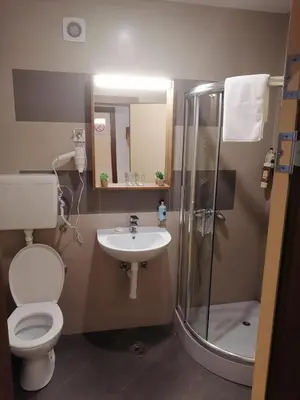 a bathroom with a toilet and a sink and a shower at Bela Jela - Brzeće, Kopaonik in Brzeće