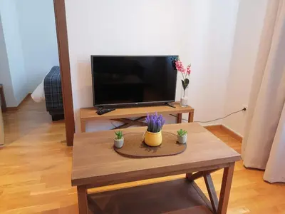 a living room with a coffee table and a flat screen tv at Bela Jela - Brzeće, Kopaonik in Brzeće