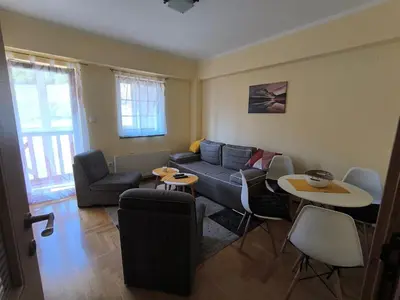 a living room with a couch and a table at Apartman Djole in Brzeće