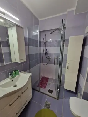 a bathroom with a shower and a sink at Apartman Djole in Brzeće