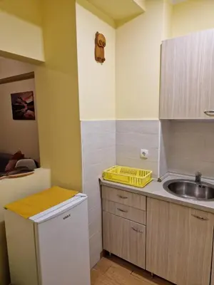a small kitchen with a sink and a sink at Apartman Djole in Brzeće