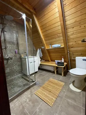 a bathroom with a shower and a toilet in a room at Kuća na Kopaoniku - Rani mraz in Kopaonik