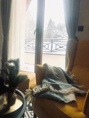 a living room with a blanket on a couch and a window at Kopaonik Milmari Apartment N95 in Kopaonik