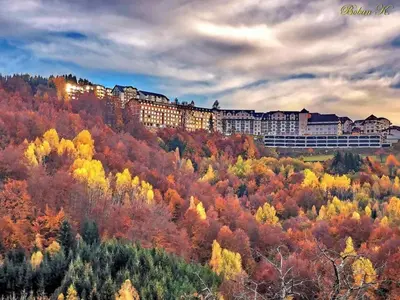 a building on top of a hill with trees at Kopaonik Milmari Apartment N95 in Kopaonik