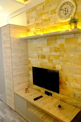 a flat screen tv on top of a wooden wall at Milmari Premier 13 in Kopaonik