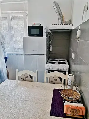 a small kitchen with a stove and a microwave at Vidikovac in Vrnjačka Banja