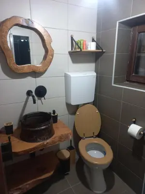 a bathroom with a toilet and a mirror at Vikendica Bajka in Despotovac