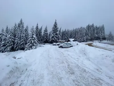 a car parked on a snow covered road with trees at Apartman M&S - Zoned 2 in Kopaonik