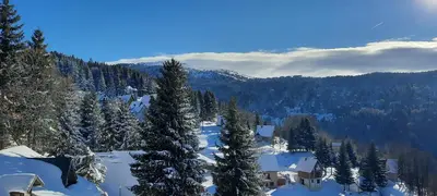 a snow covered mountain with a house and trees at Apartman M&S - Zoned 2 in Kopaonik