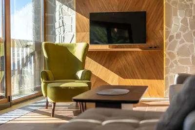 a living room with a green chair and a tv at Vista47 Zoned II Kopaonik in Kopaonik
