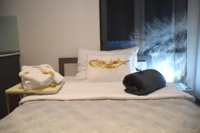 a bed with two pillows on top of it at CIRIĆ APARTMANI in Vrnjačka Banja