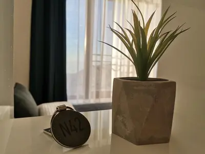 a potted plant sitting on a table next to a clock at SANS Lux Apartman N42 Milmari Kopaonik in Kopaonik