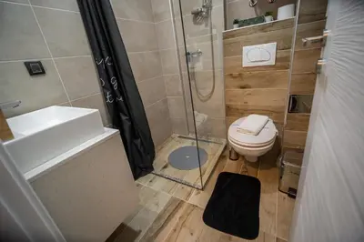 a bathroom with a shower and a toilet and a sink at PleasureLUX MILMARI in Kopaonik