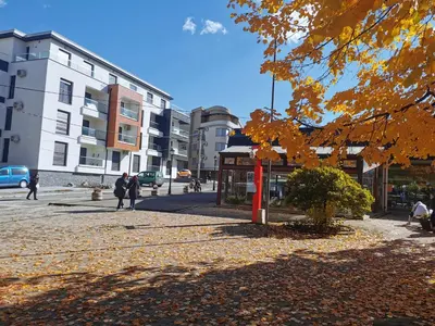 a tree with yellow leaves on a city street at Apartment Ornament Lux in Vrnjačka Banja
