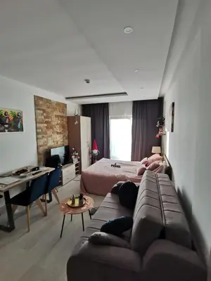 a bedroom with a couch and a bed and a desk at Apartman MOUNTAIN VIEW Milmari Resort in Kopaonik