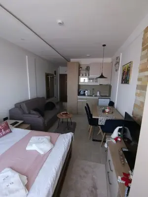 a living room with a bed and a couch at Apartman MOUNTAIN VIEW Milmari Resort in Kopaonik