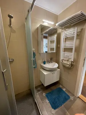 a bathroom with a sink and a shower at Lola Apartment - Župa, Kopaonik in Kopaonik