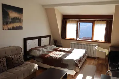 a bedroom with a bed and a couch at Apartman Snesko Zoned in Kopaonik