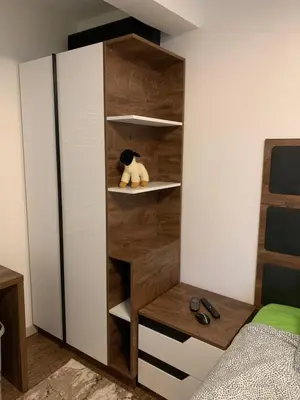 a wooden cabinet with a stuffed cat sitting on a shelf at Aleksinac in Aleksinac