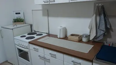 a small kitchen with a stove and a counter at Apartman Pavlovic in Leskovac