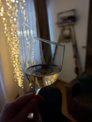 a person holding a glass of white wine at Pogled iznad oblaka in Kopaonik
