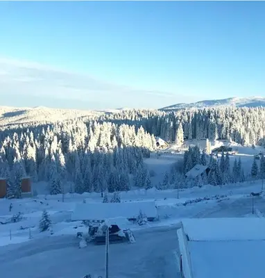a snow covered field with trees in the distance at Apartman Sky View, Župa Wellness & Spa u Centru Kopaonika in Kopaonik