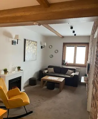 a living room with a couch and a fireplace at Apartman Sky View, Župa Wellness & Spa u Centru Kopaonika in Kopaonik