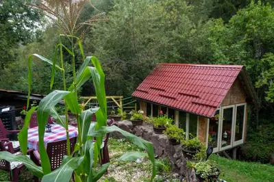a small house with a red roof in a garden at Zimska idila in Crni Vrh