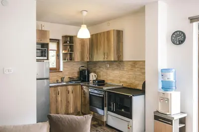 a kitchen with wooden cabinets and stainless steel appliances at Zeleni svet 2 in Crni Vrh