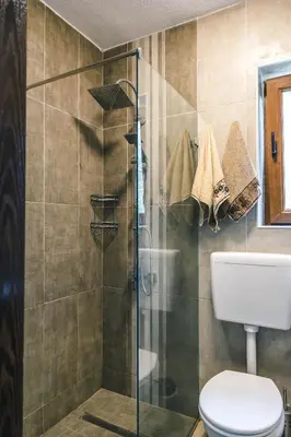 a bathroom with a toilet and a glass shower at Zeleni svet 2 in Crni Vrh