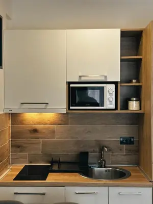 a kitchen with a sink and a microwave at Milmari N 79 in Kopaonik