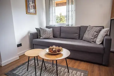 a living room with a gray couch and a table at Mountain Chalet Kopaonik in Kopaonik
